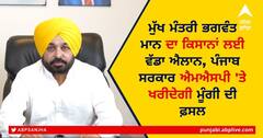 Bhagwant Mann on MSP: ਮੁੱਖ ਮੰਤਰੀ ਭਗਵੰਤ ਮਾਨ ਦਾ ਕਿਸਾਨਾਂ ਲਈ ਵੱਡਾ ਐਲਾਨ, ਪੰਜਾਬ ਸਰਕਾਰ ਐਮਐਸਪੀ 'ਤੇ ਖਰੀਦੇਗੀ ਮੂੰਗੀ ਦੀ ਫ਼ਸਲ