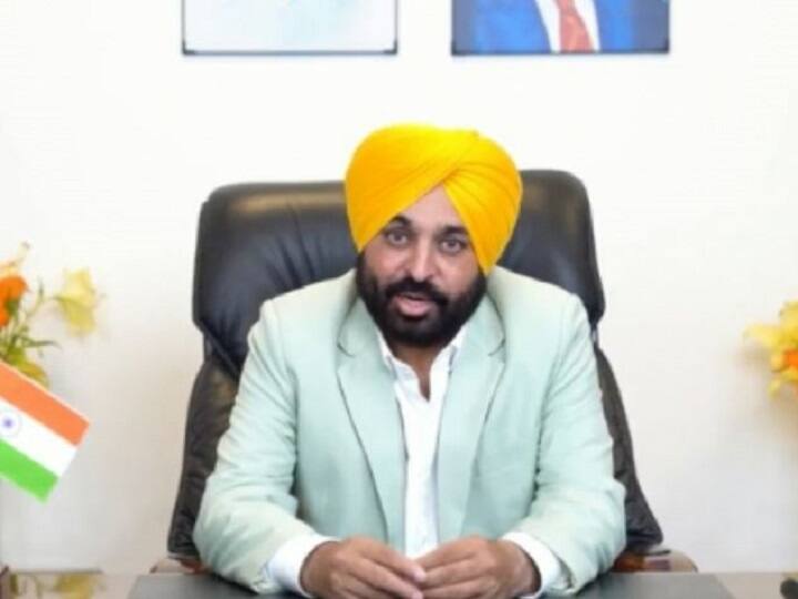 Punjab Government to buy lentils on MSP, CM Bhagwant mann tells benifits to farmer Punjab News: मूंग की फसल को न्यूनतम समर्थन मूल्य पर खरीदेगी पंजाब सरकार, किसानों को होगा ये बड़ा फायदा