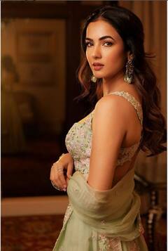 સોનલ ચૌહાણની આ તસવીરો જોઈને તમે પણ બોલી ઉઠશો, WOW!