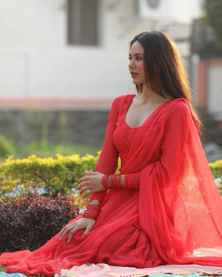 సోనమ్ బజ్వా( Image credit:sonam bajwa/Instagram)