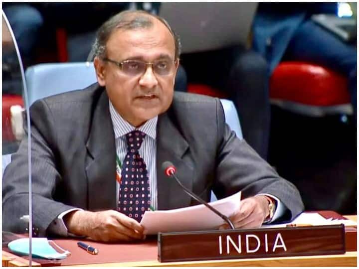 India's claim in UNSC meeting - 