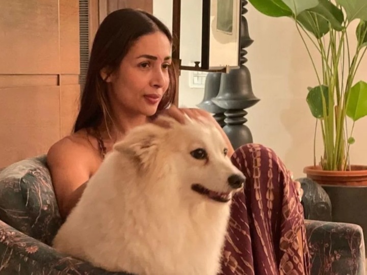 Malaika Arora Accident: मलाइका अरोड़ा ने सुनाई एक्सीडेंट की कहानी, बोलीं- उस भयानक रात मेरे चारों ओर खून ही खून बिखरा हुआ था