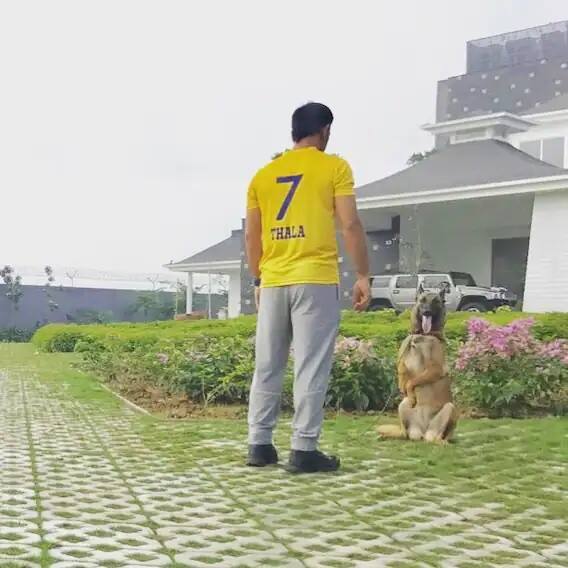 MS Dhoni's House : ભારતના મહાન કેપ્ટન મહેન્દ્ર સિંહ ધોનીનું ઘર રાંચીના રિંગ રોડ પર છે. જેનું નામ 'કૈલાશપતિ ફાર્મ હાઉસ' છે. ફાર્મ હાઉસ 7 એકરમાં ફેલાયેલું છે.