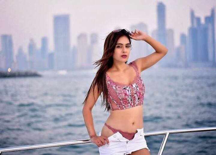 નેહા અલગ-અલગ અંદાજમાં હોટ પોઝ આપતી જોવા મળે છે.