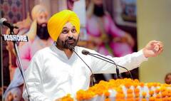 CM Mann ਦੇ ਮੂੰਗੀ 'ਤੇ MSP ਦੇ ਐਲਾਨ ਤੋਂ ਬਾਅਦ ਕਿਸਾਨਾਂ ਦੀ ਮੰਗ, ਸਾਰੀਆਂ ਫ਼ਸਲਾਂ 'ਤੇ ਮਿਲੇ MSP