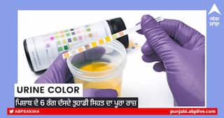 Urine Color: ਪਿਸ਼ਾਬ ਦੇ 6 ਰੰਗ ਦੱਸਦੇ ਤੁਹਾਡੀ ਸਿਹਤ ਦਾ ਪੂਰਾ ਰਾਜ਼, ਇੰਝ ਜਾਣੋ ਤੁਸੀਂ ਸਿਹਤਮੰਦ ਜਾਂ ਕੋਈ ਬਿਮਾਰੀ