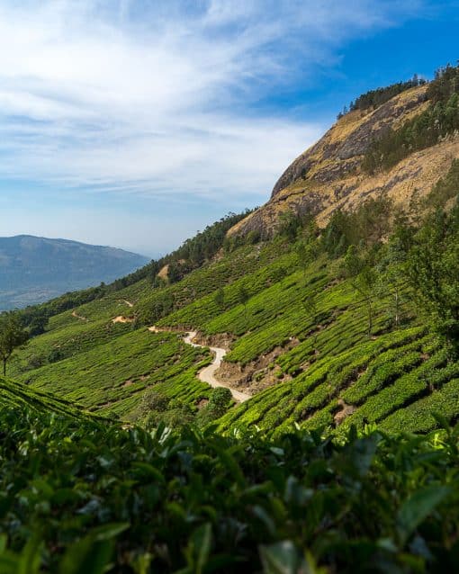மூணார்