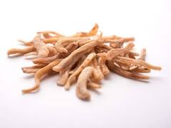 Safed Musli Benefits: મુસળી પુરુષો માટે રામબાણ છે, આ સમસ્યાઓને દૂર કરી શકે છે તે