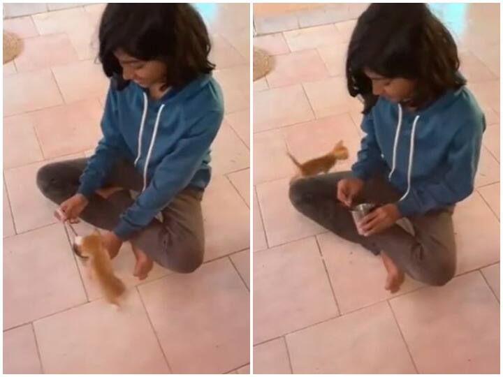 After drinking milk kitten started circling girl in joy Watch: दूध पीने के बाद खूशी से झूम उठा बिल्ली का बच्चा, धन्यवाद देने के लिए किया अनोखा काम