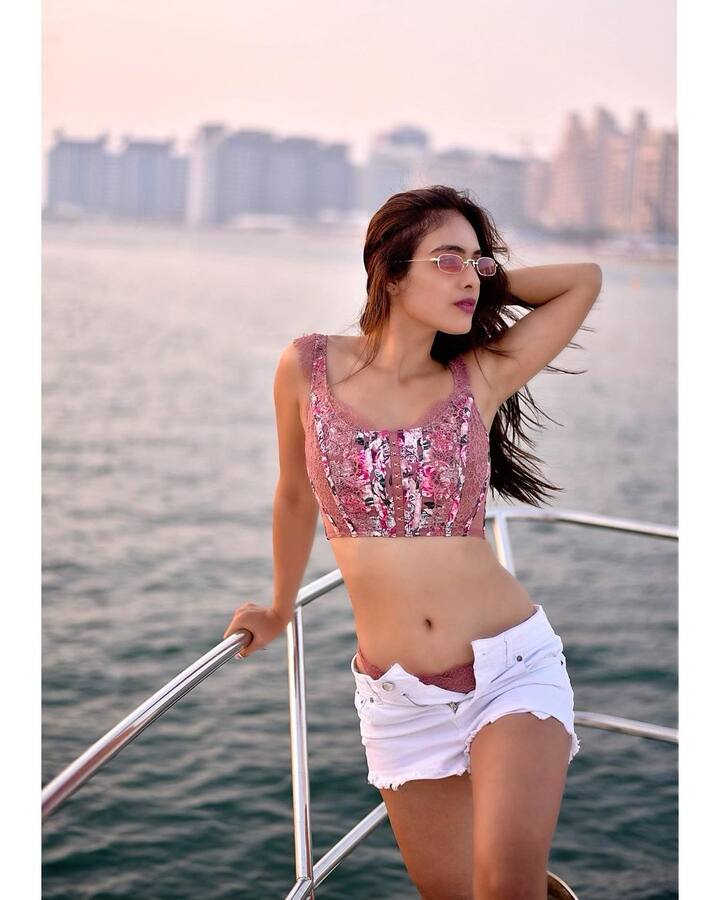 नेहा के फैन्स उनकी एक झलक पाने के लिए बेकरार रहते हैं. उन्हें 30 लाख से ज्यादा लोग फॉलो करते हैं.