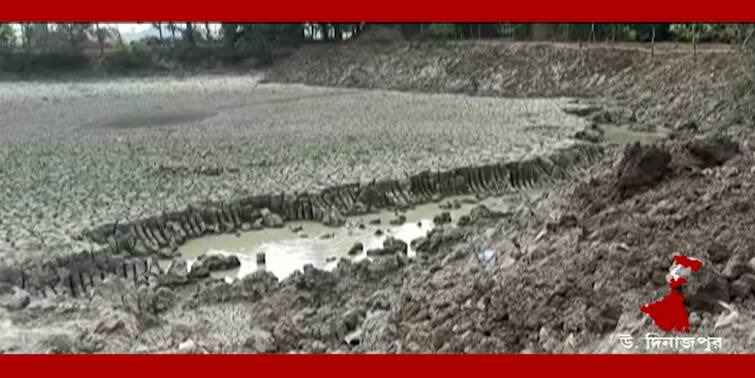 North Dinajpur News: Intense water crisis in the heat Itahar paddy farmers is in crisis North Dinajpur News: গরমে তীব্র জলসঙ্কট, মাথায় হাত ইটাহারের ধান চাষিদের