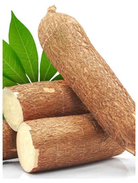 कसावा से तैयार होता है साबूदाना, जानें इसके फायदे