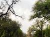 Bihar Weather Report: भीषण गर्मी से लोगों को मिली राहत, 40 डिग्री से नीचे आया तापमान, 7 जिलों में बारिश के आसार