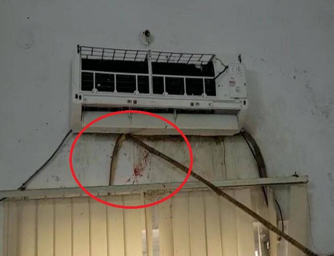 Hardoi News: हरदोई के सीएमओ ऑफिस में एसी के पीछे छिपा हुआ था जहरीला सांप, मचा हड़कंप Hardoi News: Poisonous snake found in AC in Hardoi CMO office in up ann Hardoi News: हरदोई के सीएमओ ऑफिस में एसी के पीछे छिपा हुआ था जहरीला सांप, मचा हड़कंप