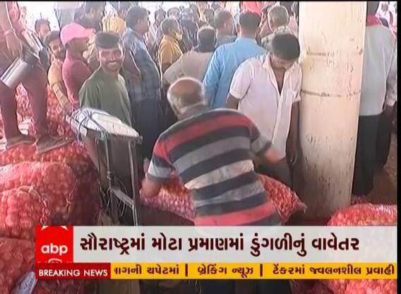 સૌરાષ્ટ્રમાં ખેડૂતોને ડુંગળીએ રડાવ્યા, એક રૂપિયે કિલો ડુંગળી વેચવા મજબૂર