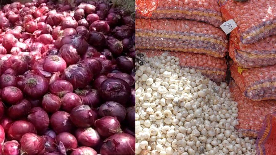 garlic and onion made farmers cry, onion is being sold at Rs 1 per kg and garlic at Rs 20 per kg in the market in Saurashtra સૌરાષ્ટ્રમાં લસણ અને ડુંગળીએ ખેડૂતોને રડાવ્યા, માર્કેટયાર્ડમાં ડુંગળી 1 રૂપિયે કિલો, લસણ 10 રૂપિયે કિલો વેંચાઈ રહયું છે