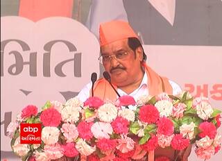 સીઆર પાટીલના વિપક્ષ પર પ્રહાર, મહાઠગ અને પપ્પુ જેવા શબ્દોનો કર્યો ઉપયોગ