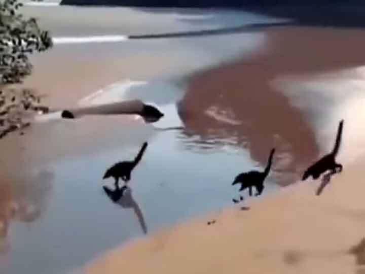 Viral Video: समुद्र के किनारे दौड़ते ‘बेबी डायनासोर’ ने इंटरनेट यूजर्स को किया हैरान, क्या है इसका सच?