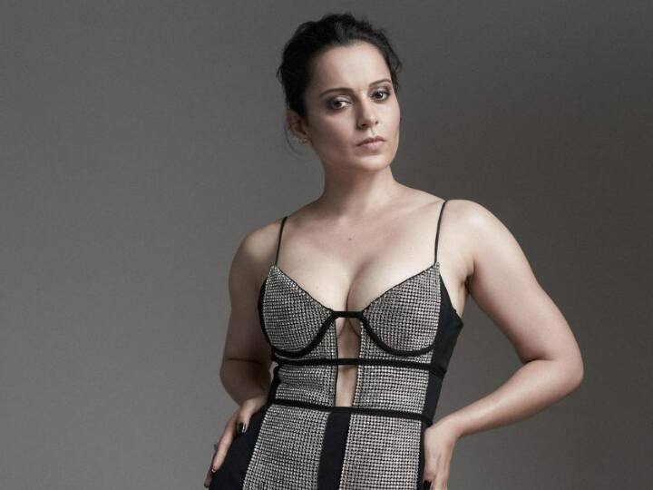 करीब ढाई महीने का सफर पूरा कर कंगना रनौत का शो 'लॉक अप' अब खत्म होने वाला है.  शो को अपने 6 फाइनलिस्ट भी मिल गए हैं जिनमें से कोई निश्चित तौर पर विजेता होगा. देखें कौन हैं वो फाइनलिस्ट.