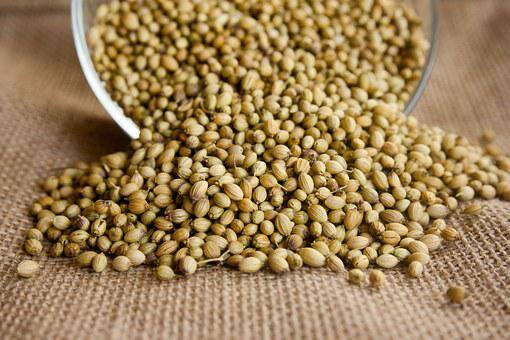 अगर आपके हाथ-पैरों में काफी ज्यादा सूजन महसूस हो रही है, तो इस स्थिति में धनिया का पानी पिएं. इससे काफी आराम मिलेगा. (Photo - Pixabay)