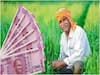 Bareilly News: 3 हजार अपात्रों ने हड़प ली प्रधानमंत्री किसान सम्मान निधि, भारत सरकार की जांच में हुआ यह खुलासा