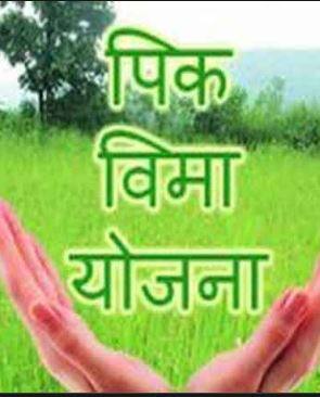 उस्मानाबाद जिल्ह्यातील  साडेतीन लाख शेतकऱ्यांचा खरीप-2020 चा पीक विमा मंजूर