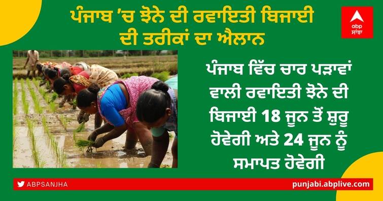 paddy sowing divided in four phases in Punjab, Dates announced by the Punjab Government Punjab News: ਪੰਜਾਬ 'ਚ ਪੜਾਅ ਵਾਰ ਹੋਏਗੀ ਝੋਨੇ ਦੀ ਬਿਜਾਈ, ਸਰਕਾਰ ਨੇ ਐਲਾਨਿਆਂ ਤਰੀਕਾਂ, ਇੱਥੇ ਜਾਣੋ