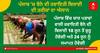 Punjab News: ਪੰਜਾਬ 'ਚ ਪੜਾਅ ਵਾਰ ਹੋਏਗੀ ਝੋਨੇ ਦੀ ਬਿਜਾਈ, ਸਰਕਾਰ ਨੇ ਐਲਾਨਿਆਂ ਤਰੀਕਾਂ, ਇੱਥੇ ਜਾਣੋ