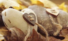 Mothers Day 2022: চিঠি, ছবি, উপহার, বিশেষ দিনে মাকে নিয়ে একটু আহ্লাদ না হয় হলই