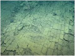 Watch: समुद्र के अंदर मिली पीले रंग की सड़क, जानें क्या है रहस्य