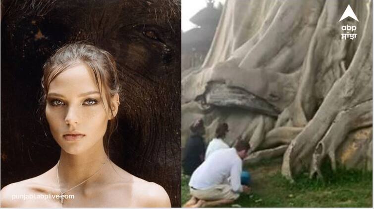 Russian couple deported from bali for posting nude pics on sacred tree on Instagram ਪ੍ਰਾਚੀਨ ਮੰਦਰ 'ਚ ਨਗਨ ਫ਼ੋਟੋਆਂ ਖਿਚਵਾਉਣ ਵਾਲੀ ਔਰਤ ਨੂੰ ਦੇਸ਼ ਨਿਕਾਲਾ, 700 ਸਾਲ ਪੁਰਾਣੇ ਬੋਹੜ ਕੋਲ ਨਗਨ ਪੋਜ਼ ਇੰਸਟਾਗ੍ਰਾਮ 'ਤੇ ਕੀਤੇ ਸ਼ੇਅਰ