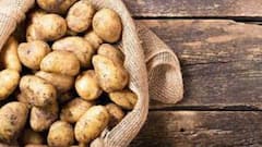 Potato Price: অগ্নিমূল্য চন্দ্রমুখী আলু, বিক্রি হচ্ছে ৪০ কেজি দরে। Bangla News