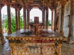 In Photos: ਇਸ ਰਾਜੇ ਨੇ ਦਾਈ ਦੀ ਯਾਦ 'ਚ ਬਣਾਈ ਸੀ 84 ਥੰਮ੍ਹਾਂ ਵਾਲੀ ਛੱਤਰੀ, ਜਾਣੋ ਕੀ ਖਾਸੀਅਤ?