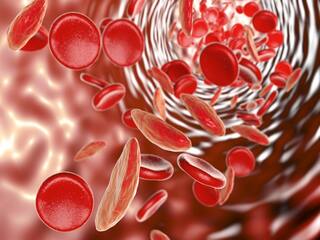 World Thalassemia Day 2022 : शरीरातील लाल रक्तपेशींशी संबंधित असणारा गंभीर आजार 'थॅलेसेमिया'; जाणून घ्या लक्षणं आणि उपचार