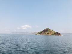 Telangana's Mysterious Island| Vizag Colony| ఇక్కడ చేపలు చాలా ఫేమస్| ABP Desam ​