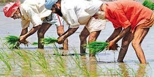 Know the benefits of Farmer Producer Organization which keeps farmers united Farmer's Unity: रंग लायेगी किसानों की एकता, जानें किसान उत्पादक संगठन के फायदे