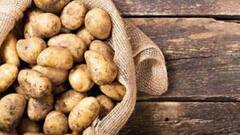 Potato Price: জ্বালানির দাম বাড়ার পাশাপাশি এবার অগ্নিমূল্য চন্দ্রমুখী আলু। Bangla News