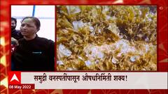 Ratnagiri : समुद्री वनस्पतींपासून औषधनिर्मिती शक्य! कोकणच्या सौंदर्यात भर!