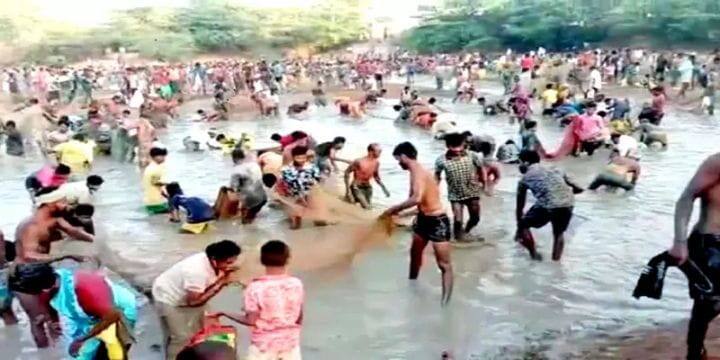 பெருந்தொற்று காலத்துக்குப் பின் புதுக்கோட்டை மாவட்டத்தில்  களைகட்டும் மீன்பிடி திருவிழாக்கள், மக்கள் உற்சாகம்..