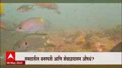 Ratnagiri : समुद्री वनस्पतींपासून ओषधनिर्मिती शक्य, कोकणातील सौंदर्यावर भर ABP Majha