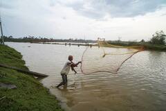 Cyclone Asani Over Bay of Bengal Expected To Intensify, IMD Issues Warning For Fishermen