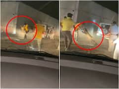 Viral Video: మచ్చల పులి ముఖం మీద గాండ్రిస్తే ఎట్టుంటదో తెలుసా?- వైరల్ వీడియో