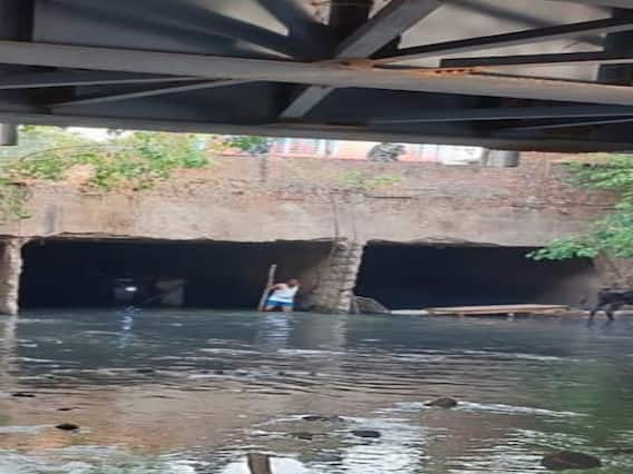 Delhi News: SDMC ने अवैध डेयरी माफियाओं के खिलाफ चलाया बुलडोजर, कार्रवाई करते हुए 211 पशुओं को पकड़ा Delhi News: SDMC ने अवैध डेयरी माफियाओं के खिलाफ चलाया बुलडोजर, कार्रवाई करते हुए 211 पशुओं को पकड़ा