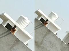 Muzaffarnagar News: शादी में डीजे को लेकर हुए विवाद में दूल्हे ने दुल्हन पक्ष पर बरसाई गोलियां, सोशल मीडिया पर वीडियो वायरल