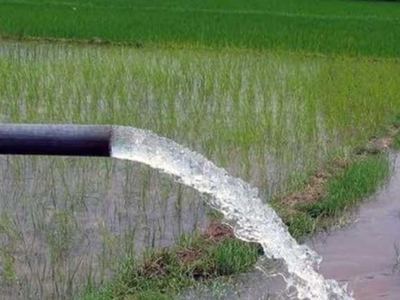 Mera Pani Meri Virasat Yojana: जानिए क्या है हरियाणा सरकार की ‘मेरा पानी मेरी विरासत योजना’, जिसमें किसानों को मिल रहे हैं 7 हजार रुपए Mera Pani Meri Virasat Yojana: जानिए क्या है हरियाणा सरकार की ‘मेरा पानी मेरी विरासत योजना’, जिसमें किसानों को मिल रहे हैं 7 हजार रुपए
