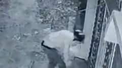 Jalaun में लूट की सनसनीखेज वारदात, 1 करोड़ पार कर बदमाश फरार! |Hindi News