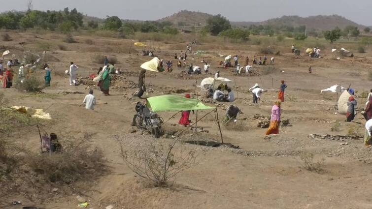 Workers work in MNREGA in Zinjuda village in Savarkundla of Amreli district in 42 degree temperature. મનરેગામાં 42 ડિગ્રી તાપમાનમાં શ્રમિકો કરે છે કામ, મળે છે 40 રૂપિયા મહેનતાણું!
