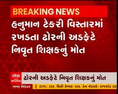 પાલનપુરમાં રખડતા ઢોરે લીધો વધુ એક નાગરિકનો ભોગ