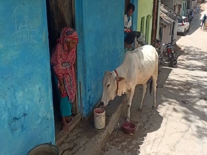 Mother's Day Special: 90 साल की वृद्ध महिला जानवरों पर लुटाती हैं बेशुमार प्यार, यही है इनका परिवार