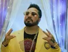 Anupamaa: Mika Singh attends Anuj-Anu's Mehendi Ceremony | SBS